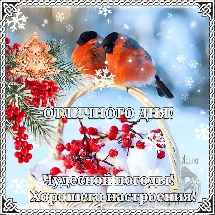   ,    . - 8  2022  13:41 - 6