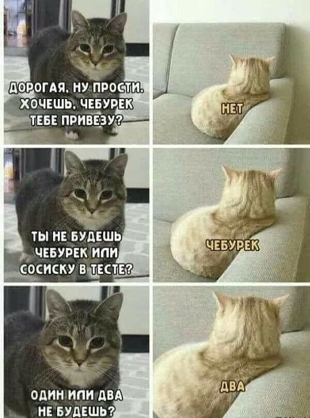   - 15  2021  09:48