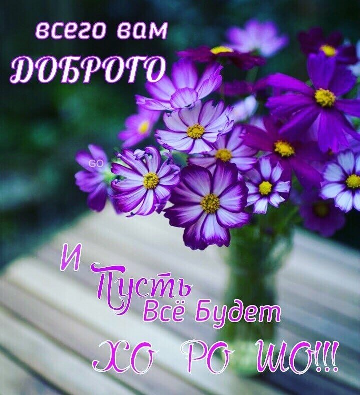   ,    . - 2  2021  13:08 - 2