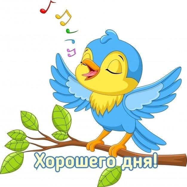   ,    . - 23  2021  11:52 - 5