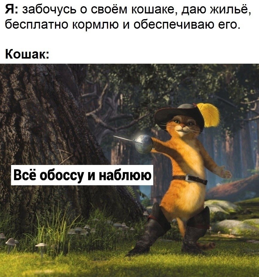   ,        ... 