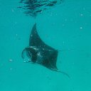 ���� �������, ������, 52 ���� - ��������� 20 ������ 2021 � ������ ���� ����������