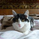 ���� Sergey, ����-�����������, 49 ��� - ��������� 21 ���� 2021 � ������ ���� ����������