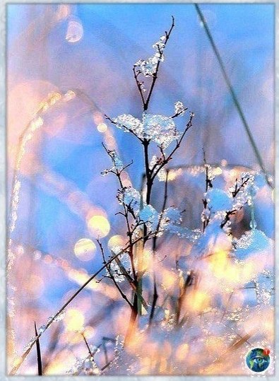 aa a pacoo ppo, a  ye caoc yoo - 3