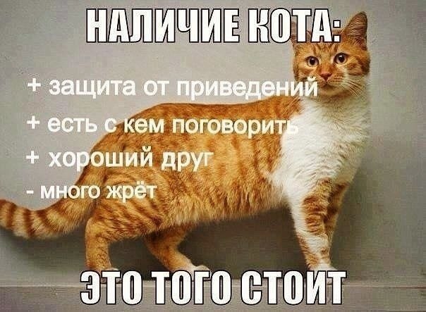    - 6  2022  20:34