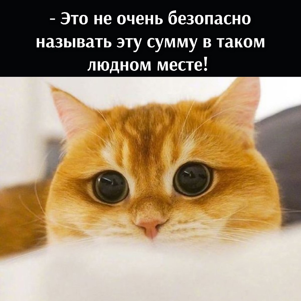       - 15  2021  19:28 - 2