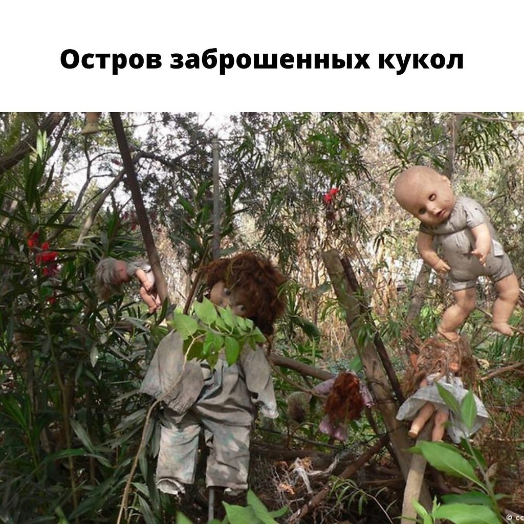 8     - 8