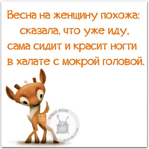 ������ ����� - 2 ������ 2021 � 03:50
