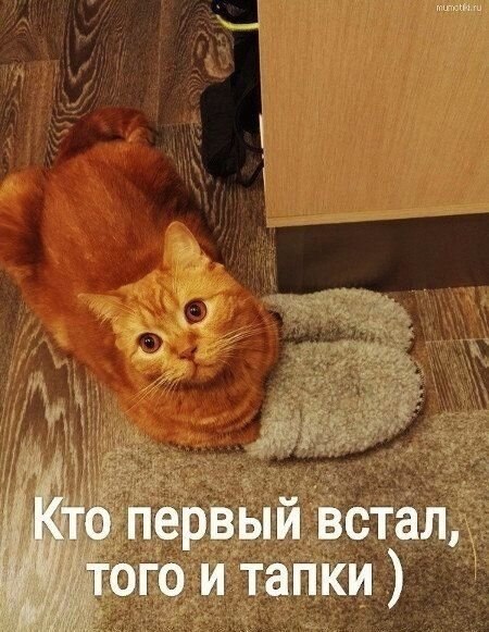    - 12  2021  07:42