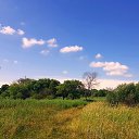 ���� ��������, ��������� - ��������� 31 ���� 2021 � ������ ���� ����������