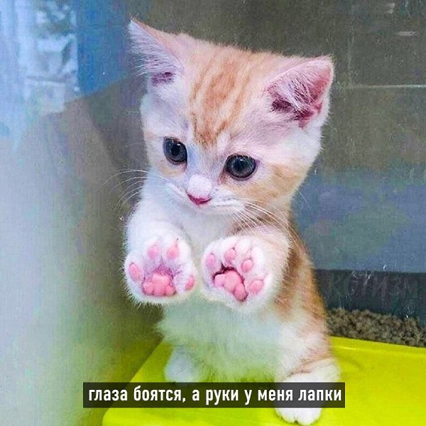   - 7