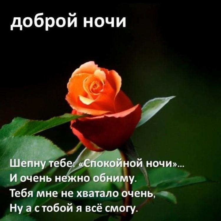   ,    . - 25  2021  20:56 - 6