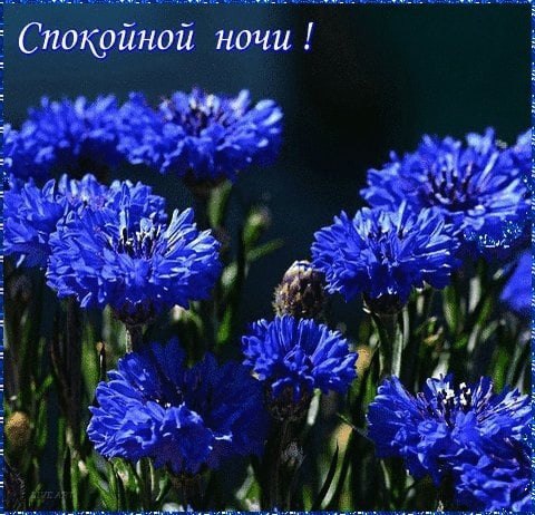   ,    . - 12  2021  22:51 - 3