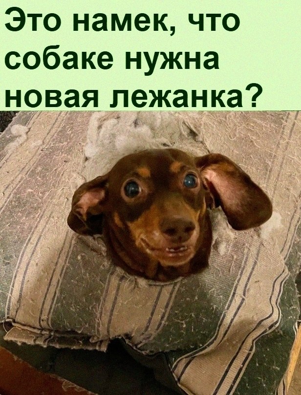   :D - 3  2021  20:47