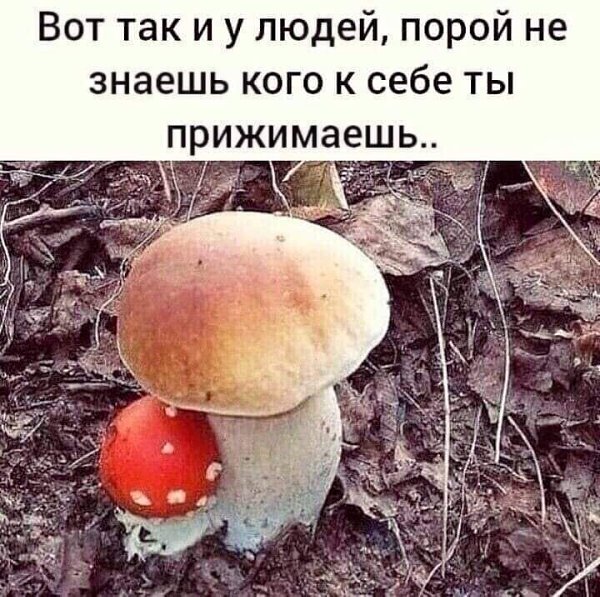   ,    . - 23  2021  10:18 - 4