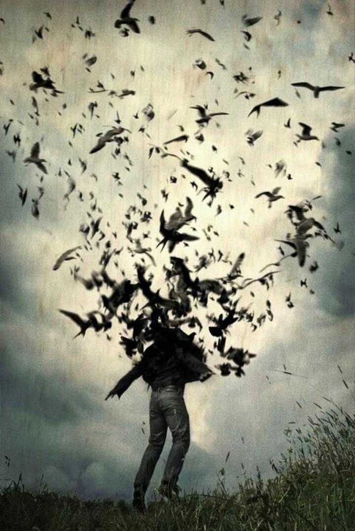 , , ,    -   , ,  ...