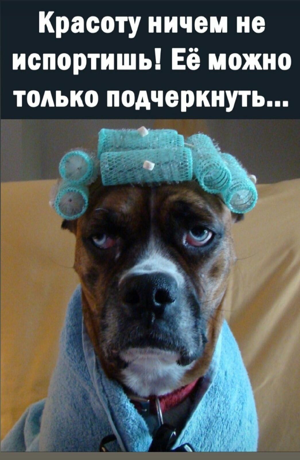 ***Victoria Viktorovna*** - 18 июля 2021 в 15:39