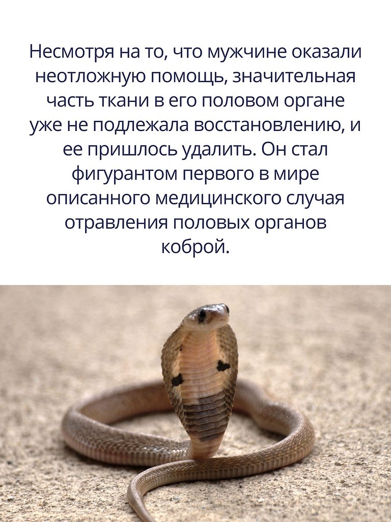  , ,  .      . - 3