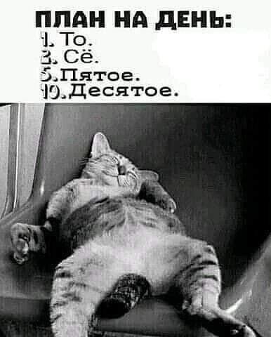 '' - 26  2021  11:53