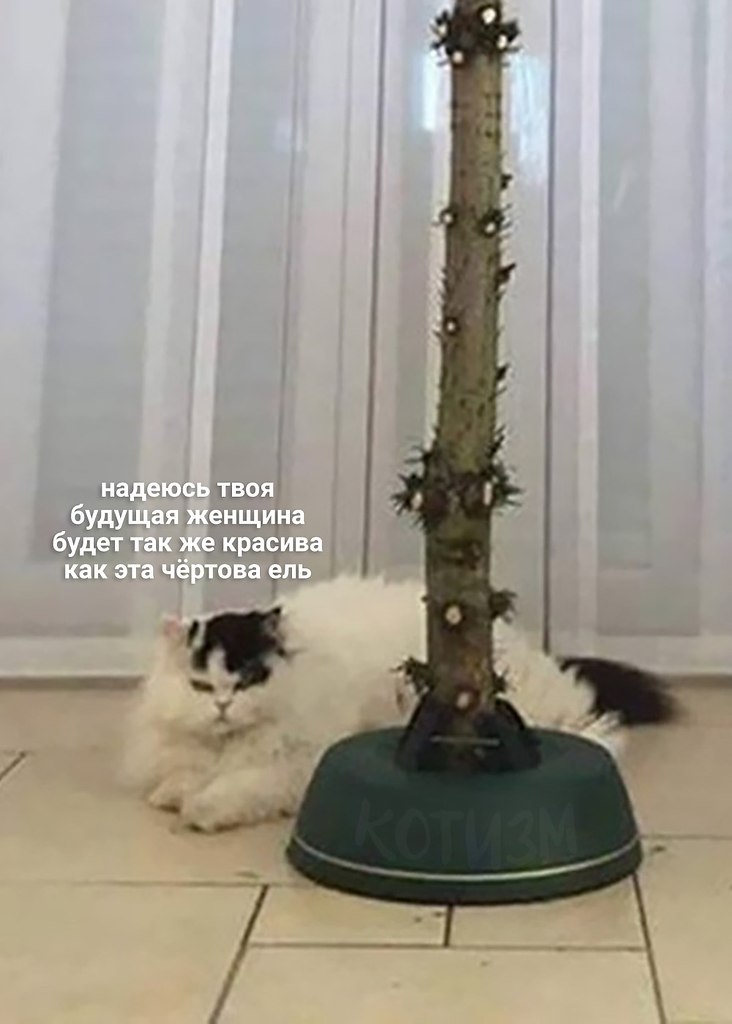      - 2