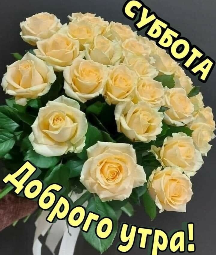   ,    . - 7  2021  09:06 - 6