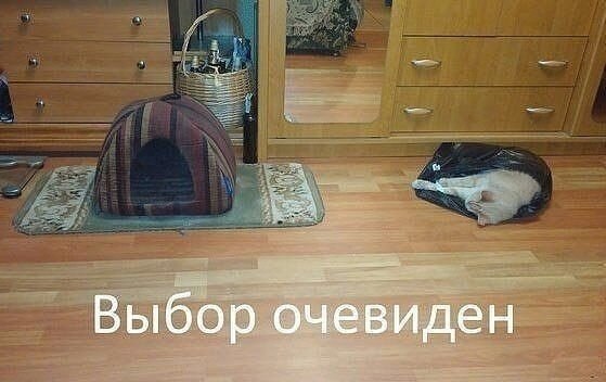    - 19  2021  07:41