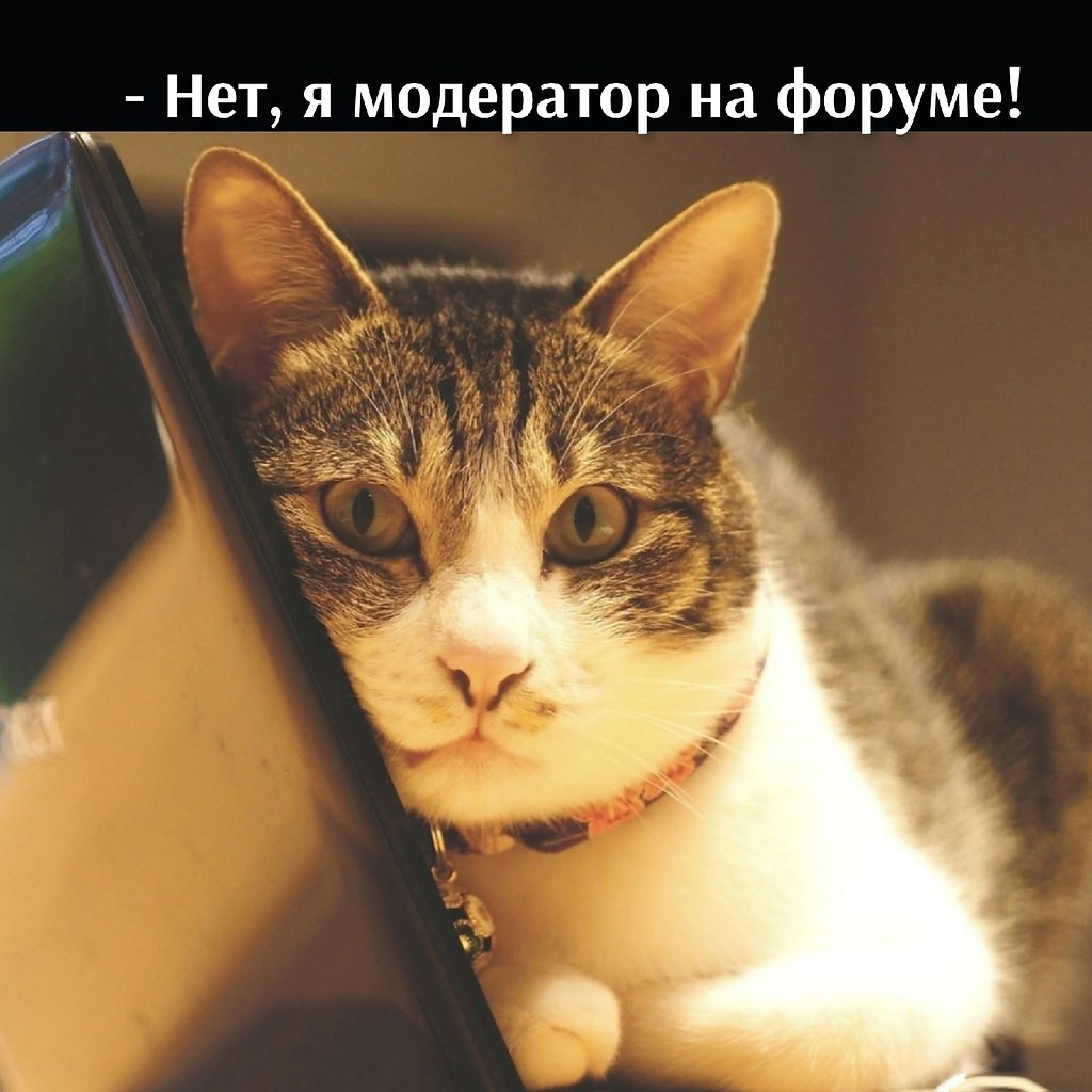       - 2  2021  16:31 - 4