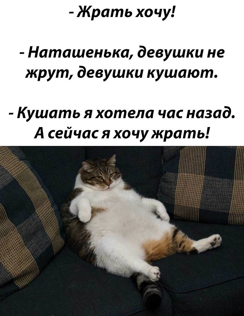 Workout |    - 15  2021  20:46