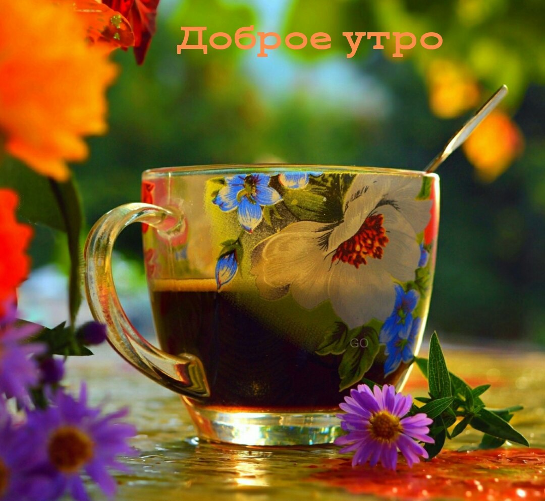   ,    . - 22  2021  11:58 - 3