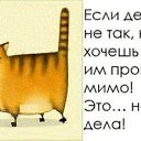 ���� ������, ��������, 54 ���� - ��������� 24 ������� 2021 � ������ ������ ��������