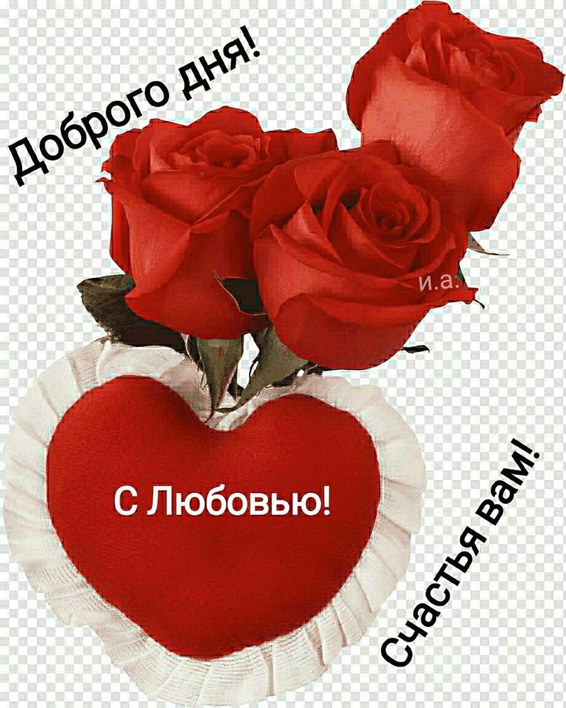   ,    . - 23  2021  11:52 - 2