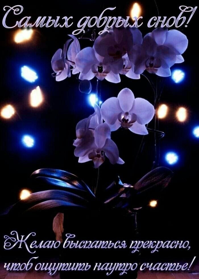   ,    . - 18  2021  22:33 - 4