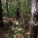 ���� Haver Santa, ���������� ����� - ��������� 28 ���� 2021 � ������ �:)�