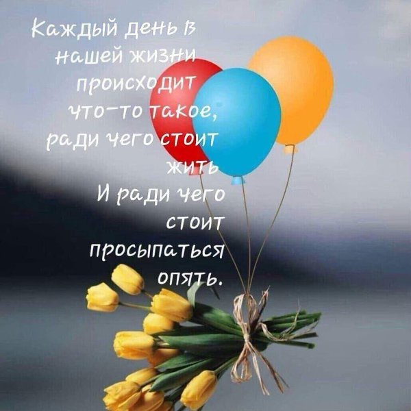 ***Victoria Viktorovna*** - 16 ���� 2021 � 05:42