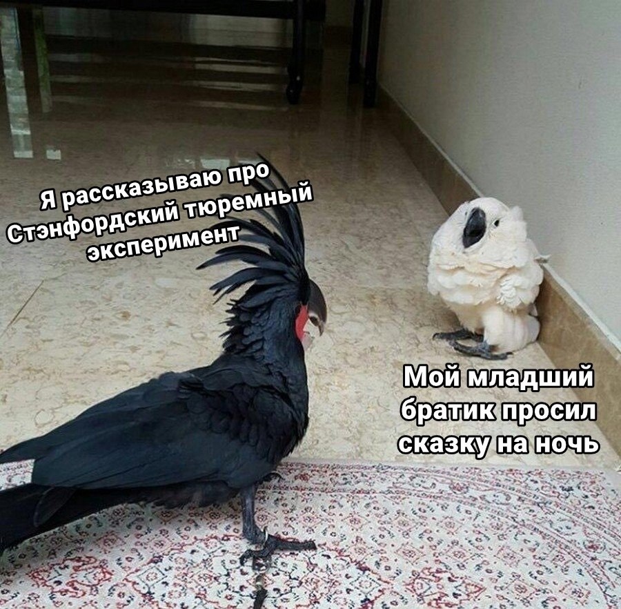  | ,  - 29  2021  18:00