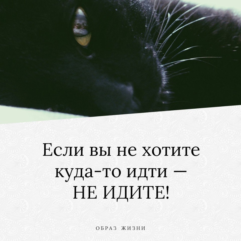 Едь куда хочешь. Чеширский кот куда мне идти. Якобы нужно идти туда куда хочется. Нужно идти туда куда хочется а не туда куда якобы надо. Я не хочу куда то идти.