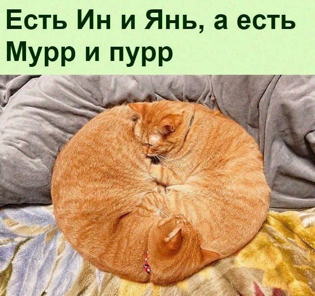   :D - 5  2021  14:43