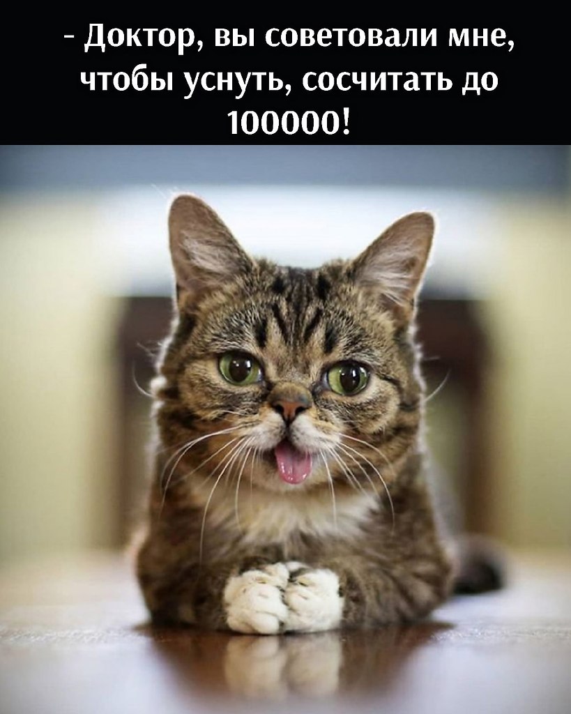       - 28  2021  15:10