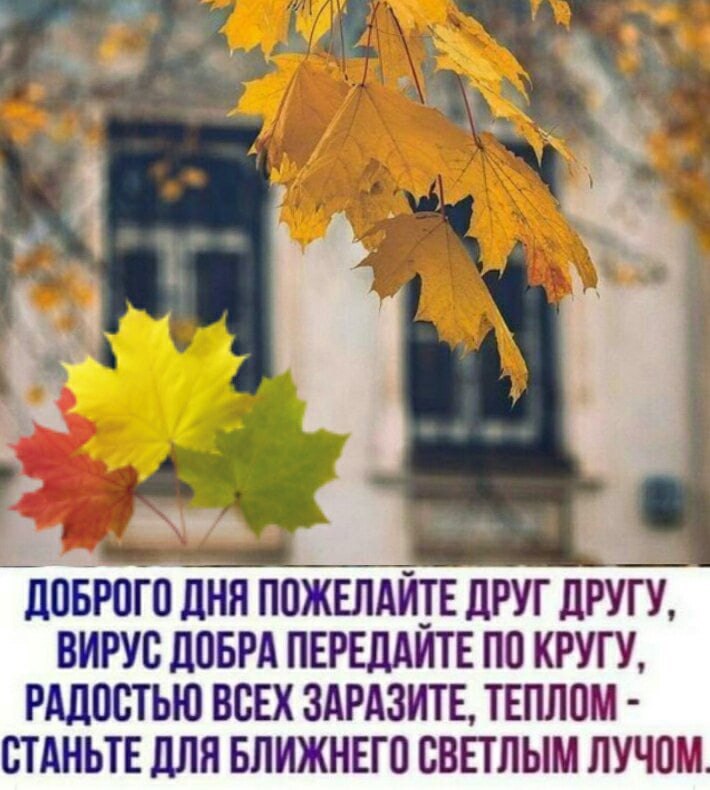   ,    . - 3  2021  15:40 - 4
