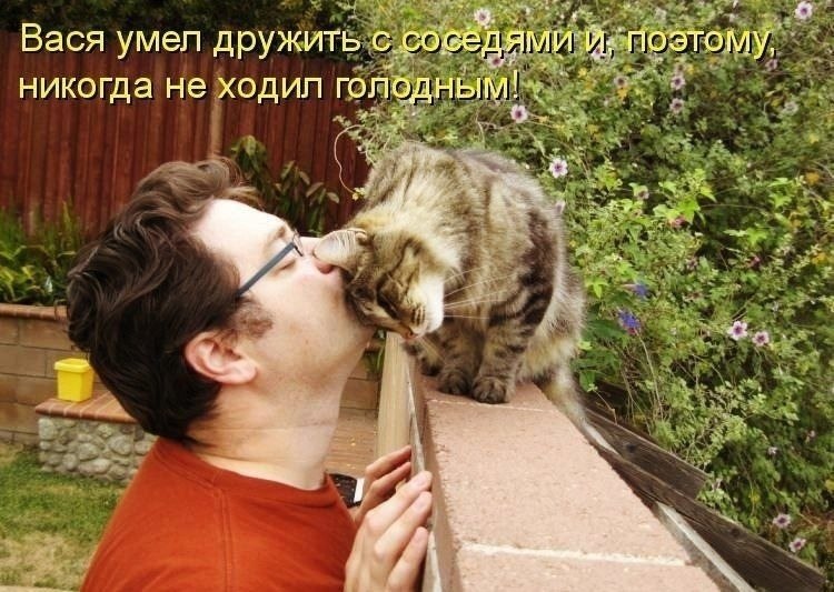    - 2  2022  00:42