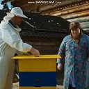 ���� ����, ���, 47 ��� - ��������� 3 ������ 2021 � ������ ���� ����������