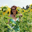 ���� ��������, �������, 54 ���� - ��������� 20 ���� 2021 � ������ ������ ��������