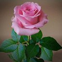 ���� ������, �������, 73 ���� - ��������� 10 ������ 2021 � ������ ���� ����������