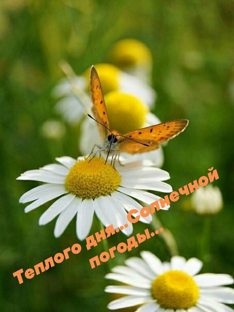   ,    . - 23  2021  11:52 - 7