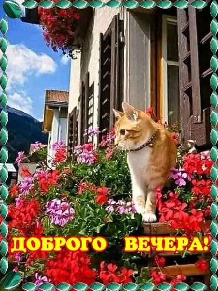   - 13  2021  21:47 - 3