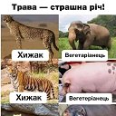  , - -  11  2021    