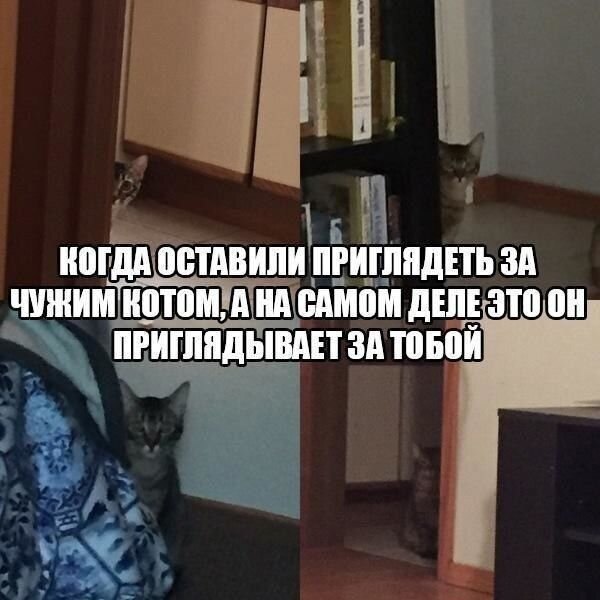    - 7  2021  14:37