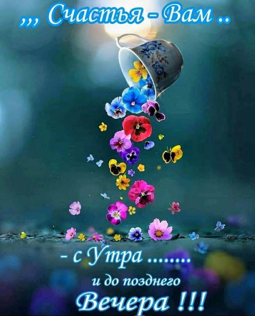   ,    . - 25  2021  20:56 - 4