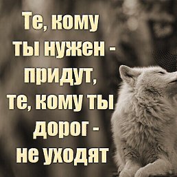 ����, ���������, 61 ���