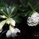 ���� �����, ��������, 69 ��� - ��������� 12 �������� 2021 � ������ ���� ����